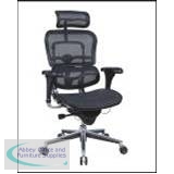 Orthopaedic Ergo Human Chair