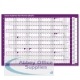 Sasco Academic Year Planner Unmounted 2012/2013 2400571