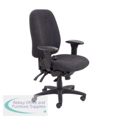 AOFSE13333 - Abbey Vista Orthopaedic High Back Chair
