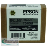 Epson T5809 Ink Cartridge Light Light Black C13T580900