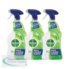 Dettol Mould and Mildew Remover 750ml 3 For 2 RK800040