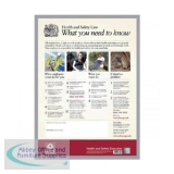 Health and Safety Law HSE Statutory Poster PVC W420xH595mm A2 Framed